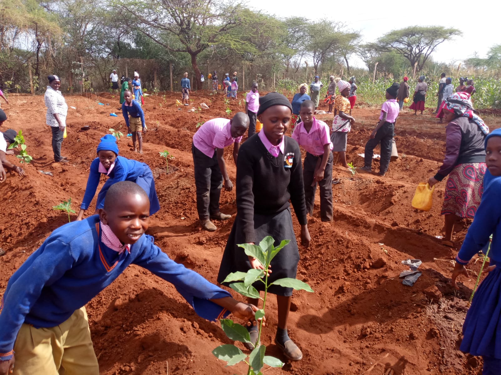 Students planting on school grounds
