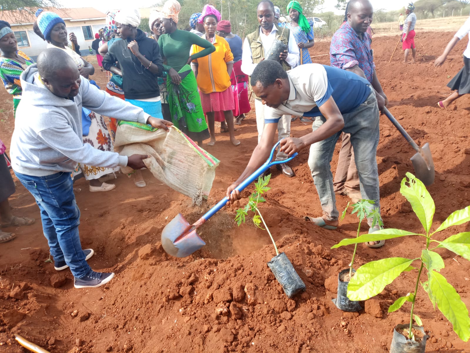 Community members planting on Genesis CDA farmland